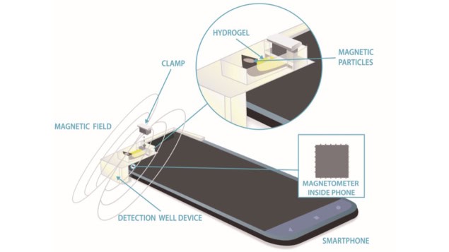 Cellphone magnetometer measures analyte concentration