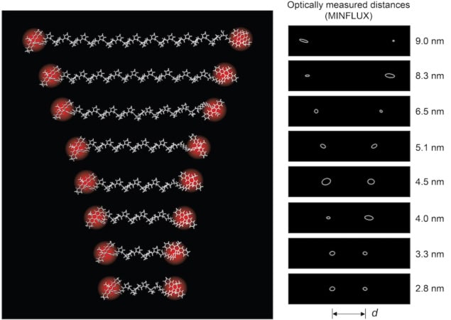 Diagram showing distances between molecules measured in polyproline 