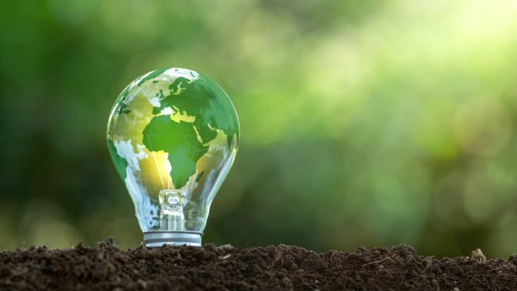 A light bulb with Earth decoration, planted in soil against a backdrop of blurred foliage