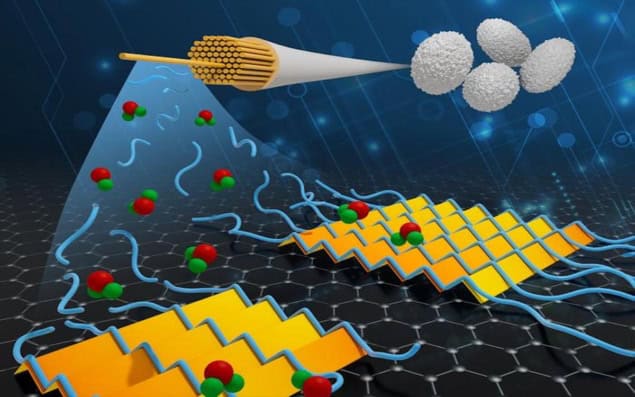 Individual silk protein molecules, or “silk fibroins” (blue), are deposited on a graphene surface surrounded by water (green and red spheres) and grow into an atomically precise 2D sheet