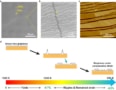 graphene folds