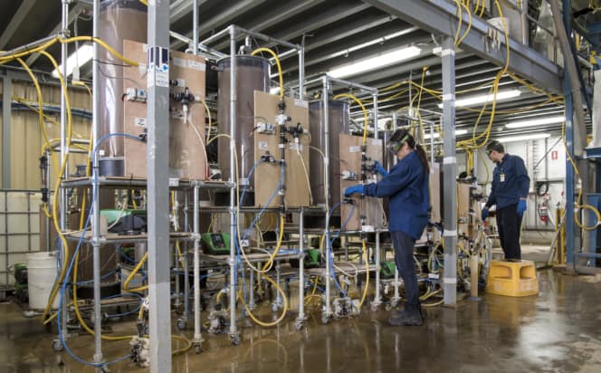 Photo showing a person standing in front of valves in a processing plant