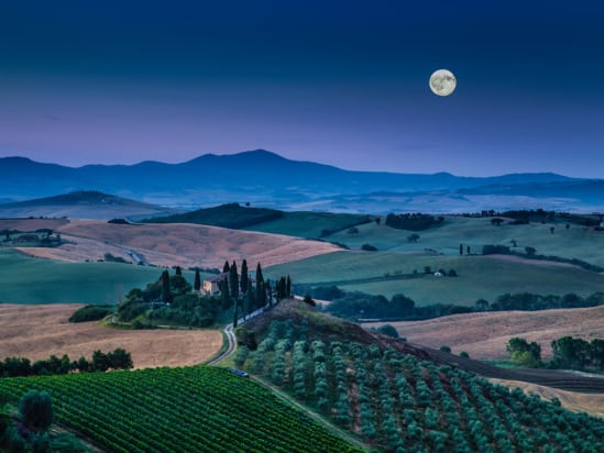 Tuscany vineyard