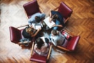 Students in a library