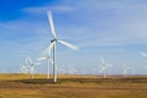 Image of wind turbines