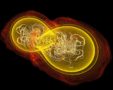 Merging neutron stars